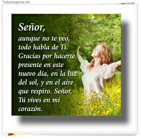 imagen de 7229-20160302-034223