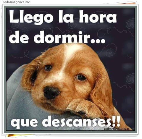 imagen de 4425-20160302-034012