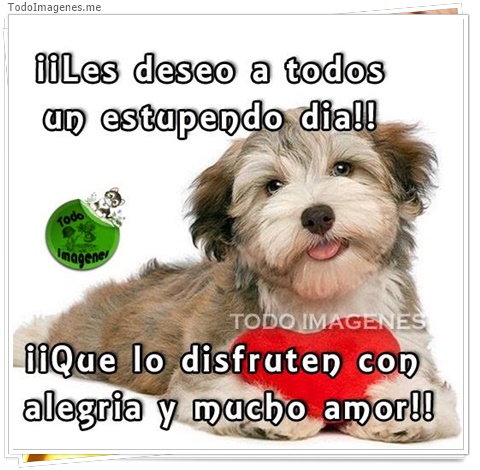 imagen de 4112-20160302-033959