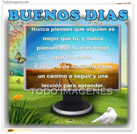 imagen de 1212-20160302-033747
