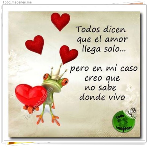 imagen de 8447-20160302-034342