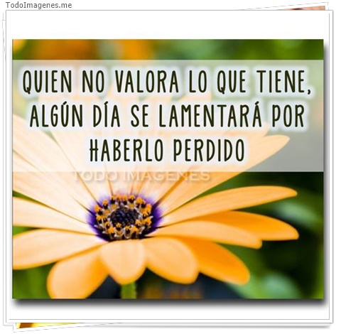 imagen de 3962-20160302-033952