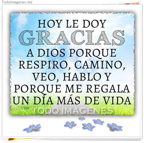 imagen de 026-20160829-192300