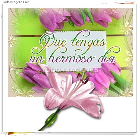 imagen de 6193-20160302-034133