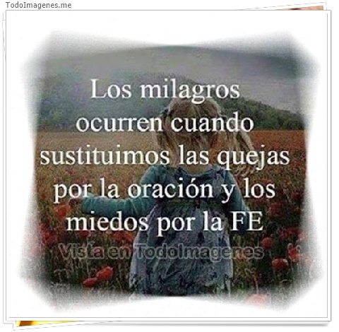 imagen de 261-20160509-130728