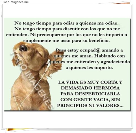 imagen de 2395-20160302-033840