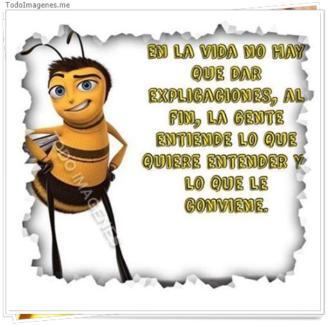 imagen de 6452-20160302-034145