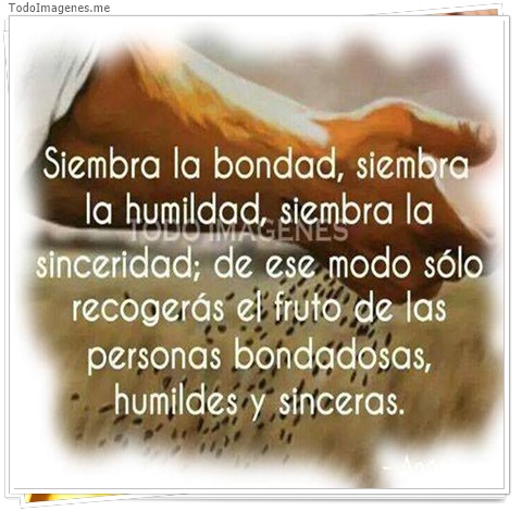 imagen de 5030-20160302-034040