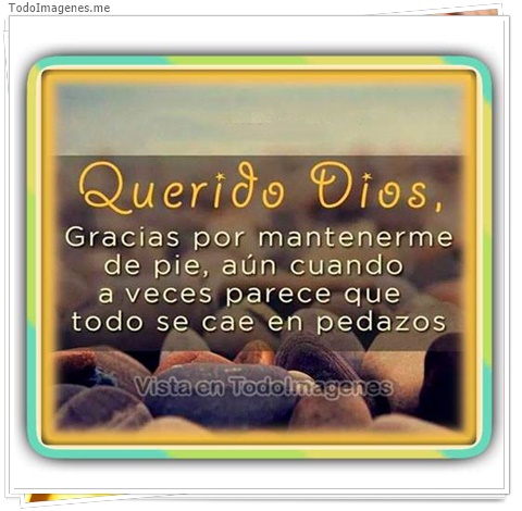 imagen de 10459-20160302-034603