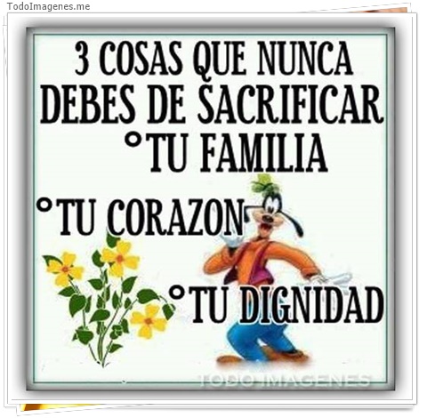 imagen de 4891-20160302-034033