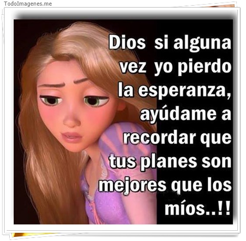 imagen de 2215-20160302-033832