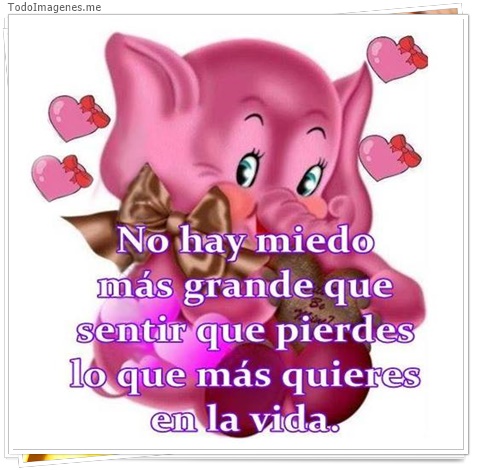 imagen de 3925-20160302-033951