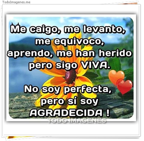 imagen de 6765-20160302-034200
