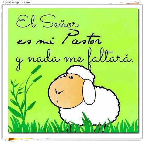imagen de 3534-20160302-033933