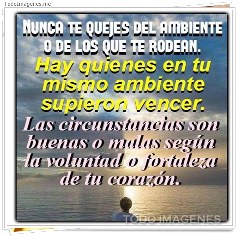 imagen de 8221-20160302-034326