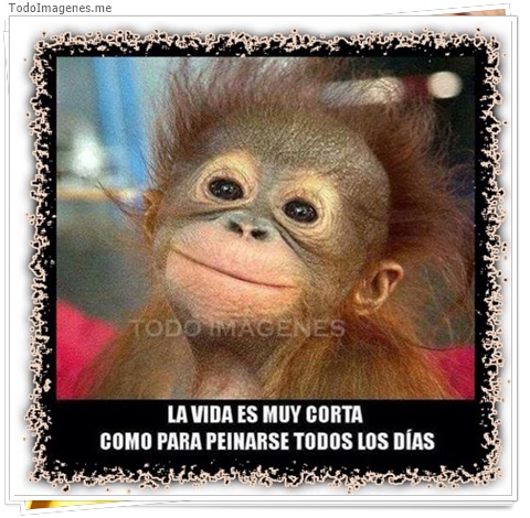 imagen de 9243-20160302-034433