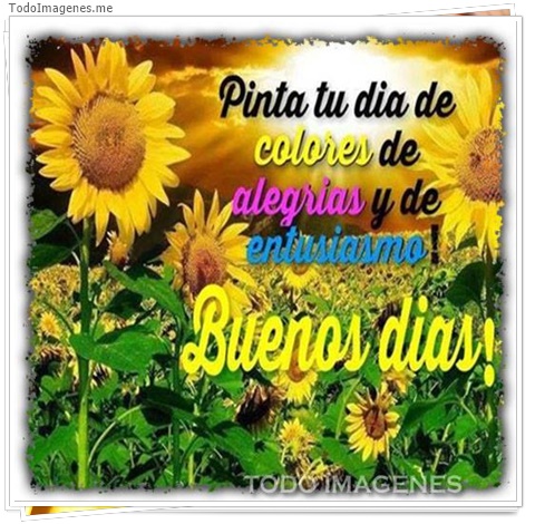 imagen de 5404-20160302-034056