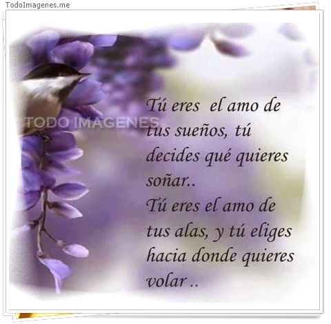 imagen de 3671-20160302-033939