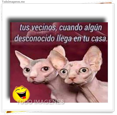 imagen de 6873-20160302-034204