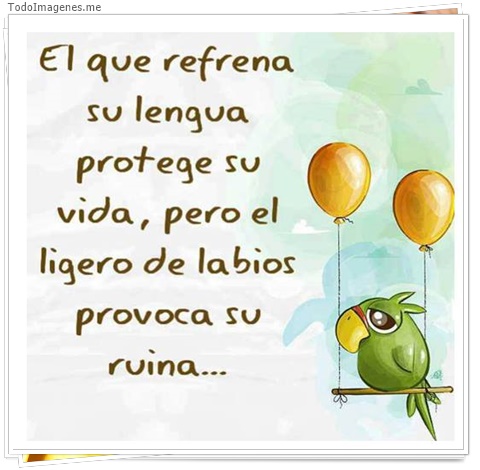 imagen de 7336-20160302-034229