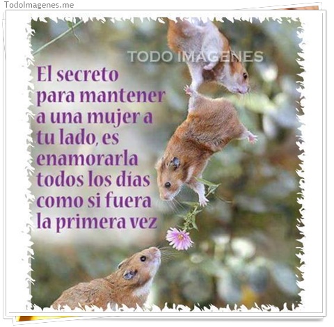 imagen de 321-20160810-120301