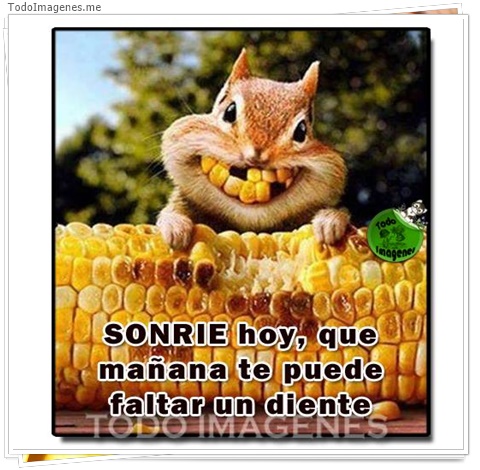 imagen de 11530-20160302-034717