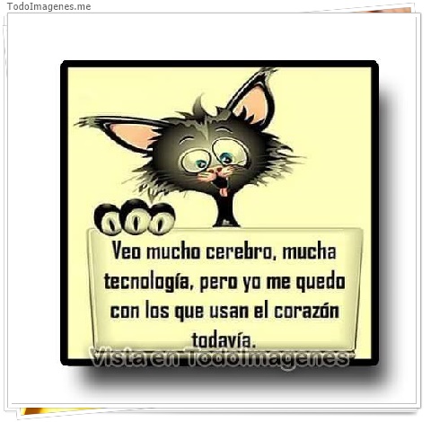 imagen de 412-20160608-192809