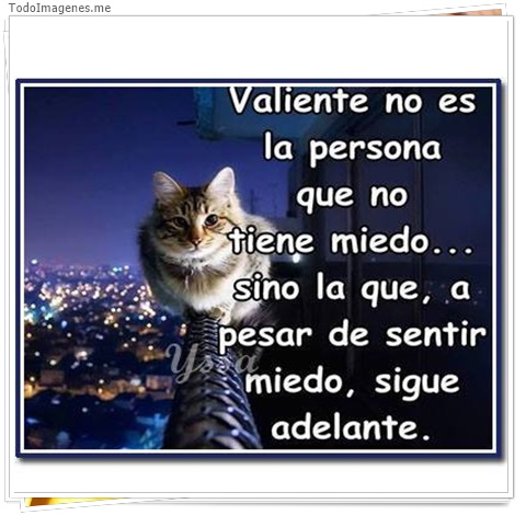 imagen de 9212-20160302-034430