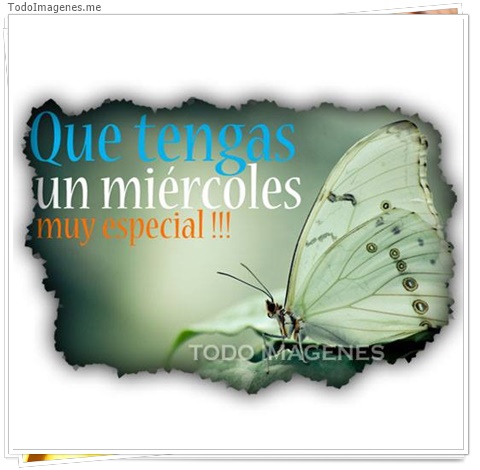 imagen de 8619-20160302-034354