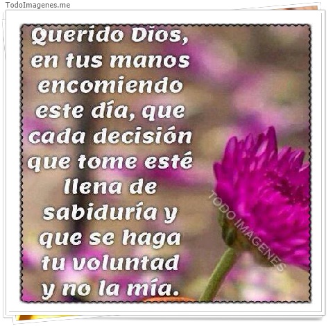 imagen de Querido Dios, en tus manos encomiendo este día, que cada decisión que tome esté llena de sabiduría y que se haga tu voluntad y no la mía