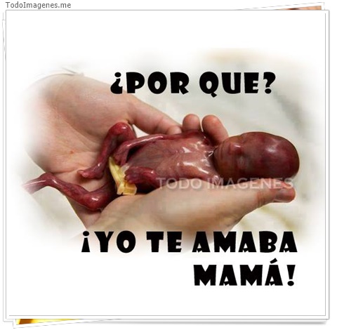 imagen de 7019-20160302-034212