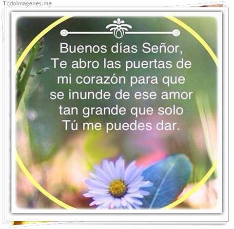 imagen de 346-20160810-120302