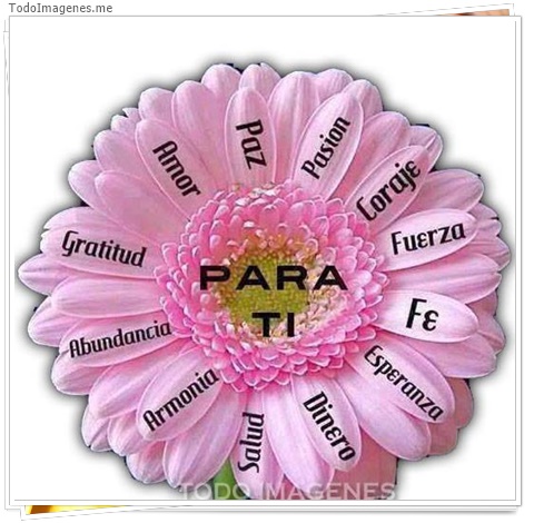 imagen de 8460-20160302-034343