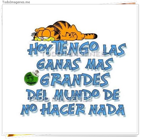 imagen de 8419-20160302-034340