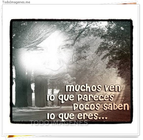 imagen de 4516-20160302-034016