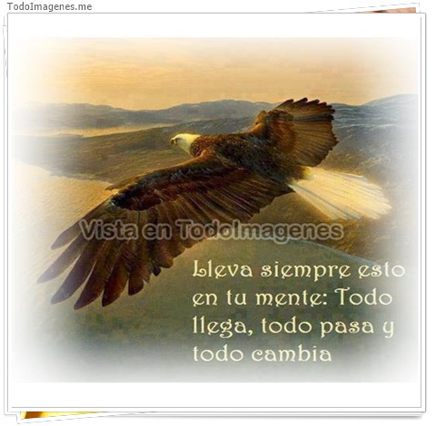 imagen de 10680-20160302-034618