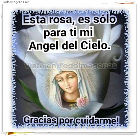 imagen de 10020-20160302-034528