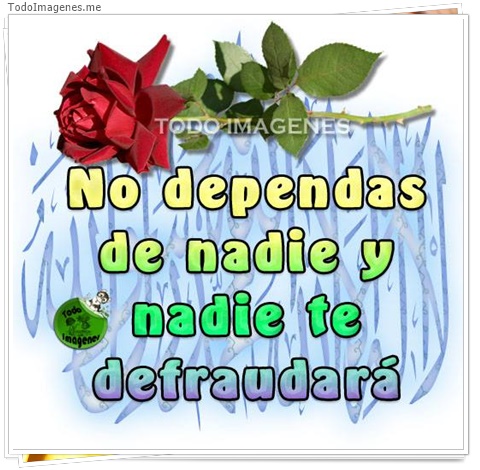imagen de 7923-20160302-034305