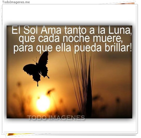 imagen de 8919-20160302-034413
