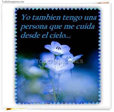 imagen de 8954-20160302-034415