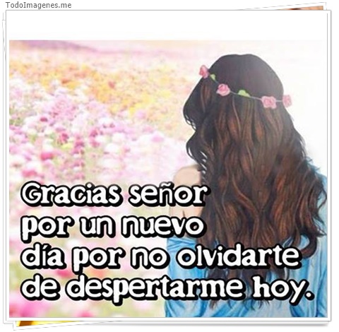 imagen de 800-20160302-033728