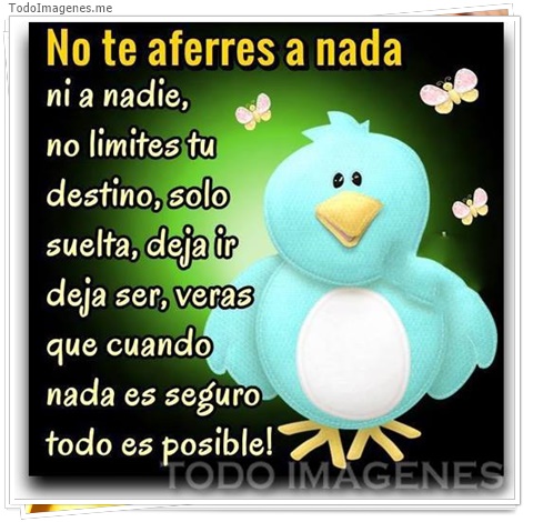 imagen de 5213-20160302-034048
