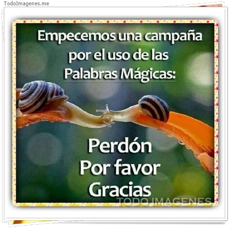 imagen de 8007-20160302-034311