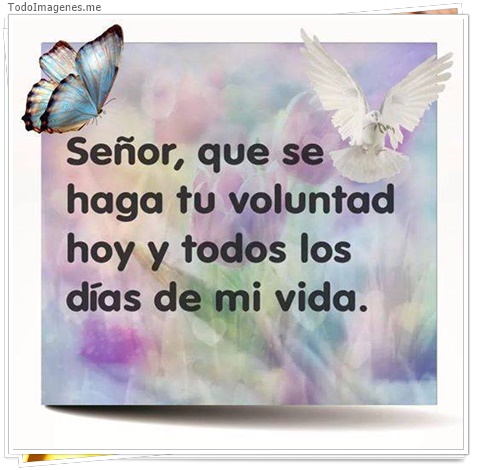 imagen de 5154-20160302-034045