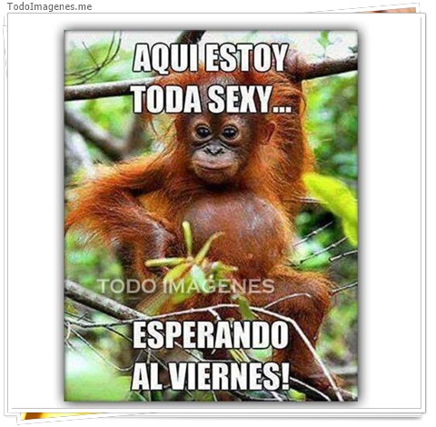 imagen de 9813-20160302-034513