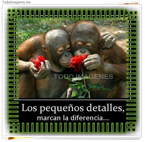 imagen de 3074-20160302-033911