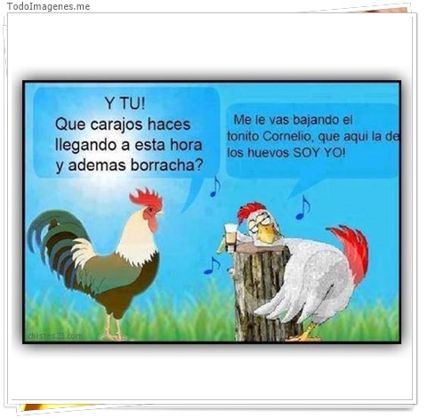 imagen de 8425-20160302-034340
