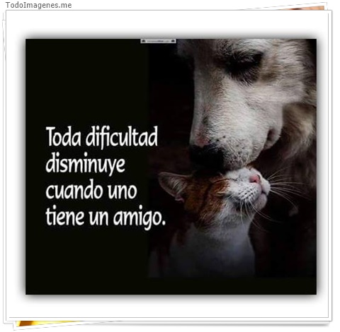 imagen de 2710-20160302-033854
