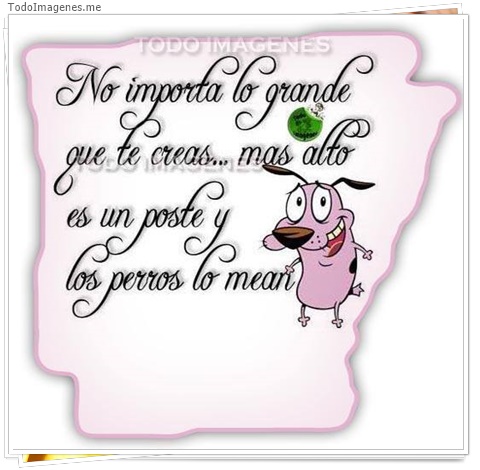 imagen de 9754-20160302-034508