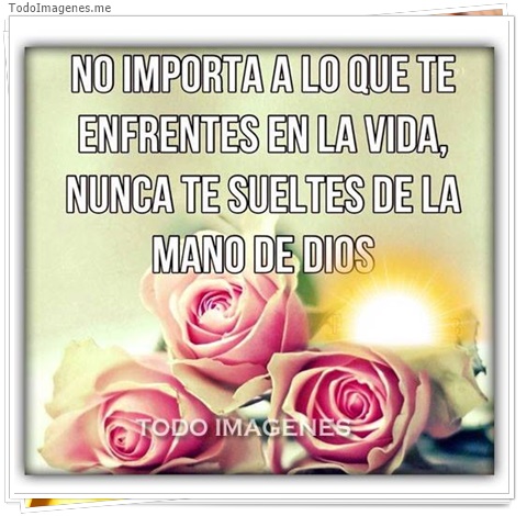 imagen de 3345-20160302-033924